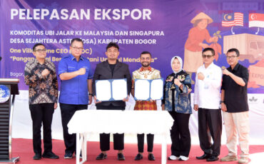 Program OVOC IPB University Tembus Ekspor Ubi Ungu ke Malaysia dan Singapura