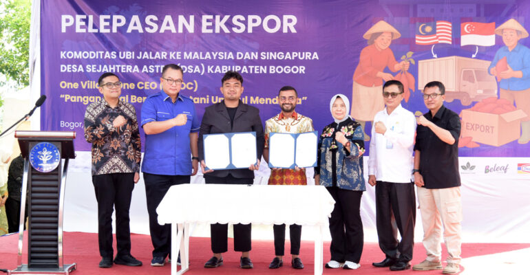 Program OVOC IPB University Tembus Ekspor Ubi Ungu ke Malaysia dan Singapura