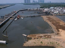 Tanggapi Giant Sea Wall, Guru Besar IPB University Antara Harapan Perlindungan Pesisir dan Tantangan Ek