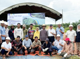 Tim IPB University dan Mitra Usung “Koronisasi” di Lahan Replanting Sawit