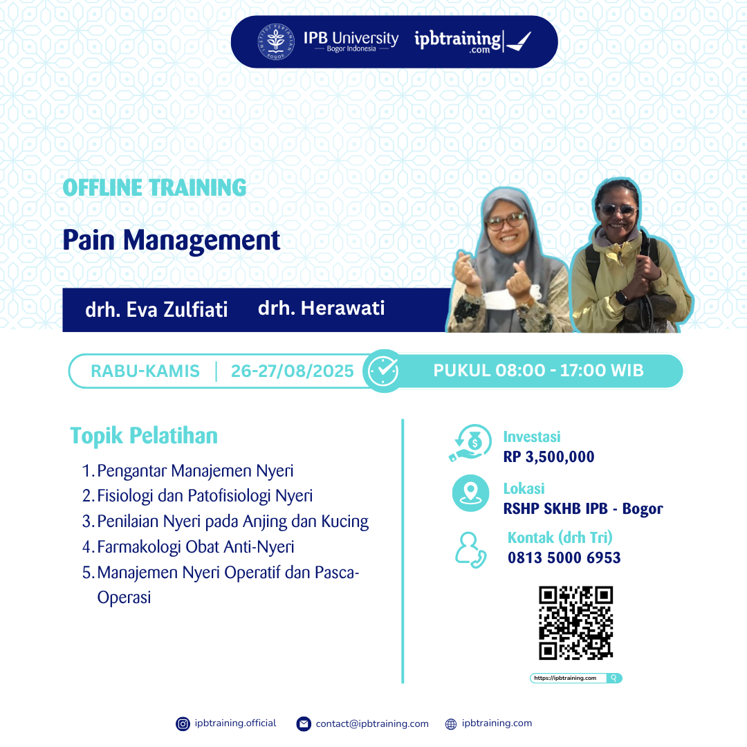 20241224Pain-Managemet-1735023297