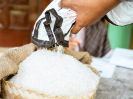 Ada Disparitas Harga Beras Antarwilayah, Prof I Made Sumertajaya Dorong Kebijakan Kontekstual