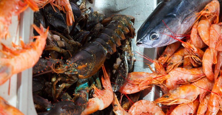 Gantikan Antibiotik, Prof Munti Yuhana Ciptakan Mikrokapsul Sinbiotik untuk Kendalikan Infeksi Ikan dan Udang