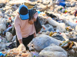 Guru Besar IPB University Penurunan Angka Kemiskinan Hasil Rilis BPS Tak Cerminkan Realita