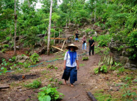 Prof Ahmad Budiaman Kunci Hutan Rakyat Berkelanjutan Ada pada Pemanenan Tepat Guna