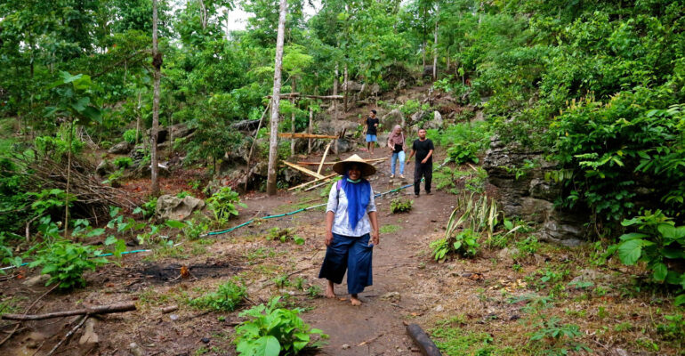 Prof Ahmad Budiaman Kunci Hutan Rakyat Berkelanjutan Ada pada Pemanenan Tepat Guna