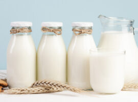 Prof Idat Galih Permana Rekayasa Protein Pakan Lokal Jadi Strategi Tingkatkan Produksi Susu Nasional