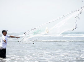 Stok Ikan Laut Jawa Menurun Drastis, Pakar IPB University Soroti Degradasi Lingkungan