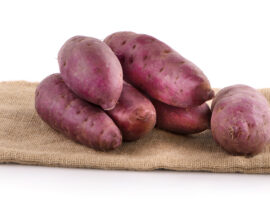 Ubi Bikin Mudah Kentut Dosen IPB University Sebut Tipe Orang yang Mesti Hati-Hati Konsumsi Ubi