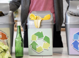 Pakar IPB University Voluntary Pengelolaan Sampah Rumah Tangga Harus Tetap Menjaga Praktik Ramah Lingkungan