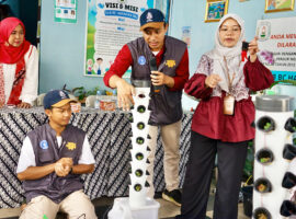 Pendidikan untuk Semua, DPMA IPB University Kenalkan Praktik Hidroponik di SLB BC Harapan Ibu