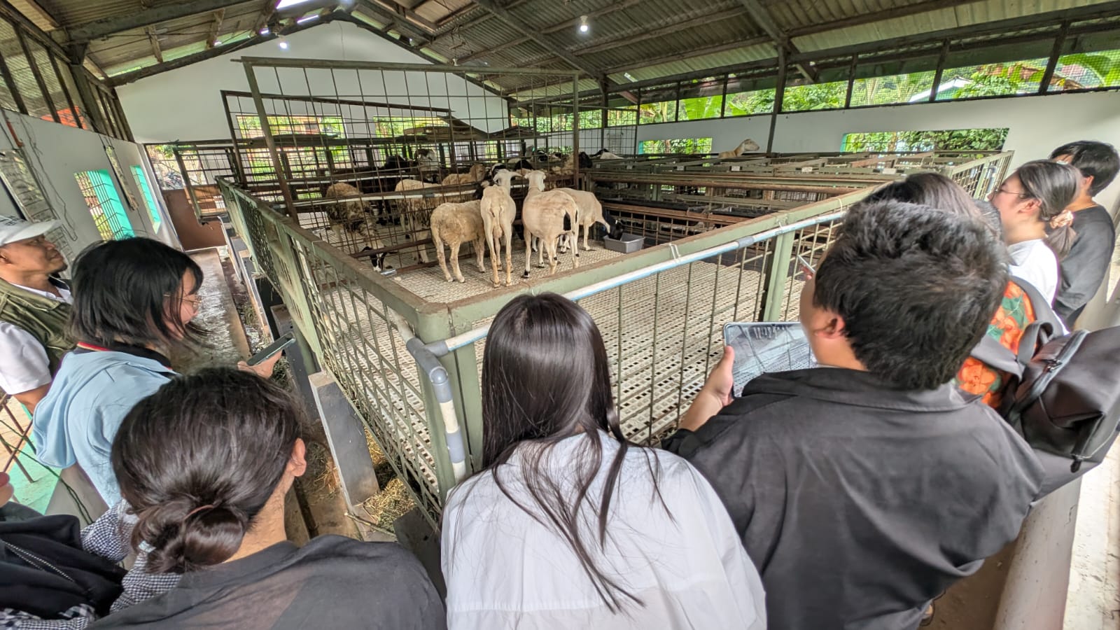 WhatsApp Image 2025-09-23 at 08.28.19