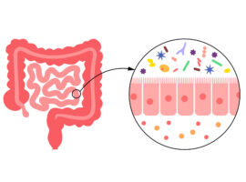 Apa Itu Mikrobiom dan Apa Manfaatnya Buat Manusia, Akademisi IPB University Beri Penjelasan Berikut