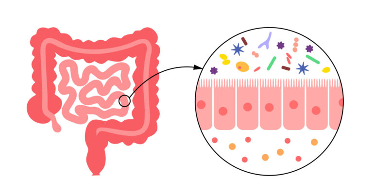 Apa Itu Mikrobiom dan Apa Manfaatnya Buat Manusia, Akademisi IPB University Beri Penjelasan Berikut