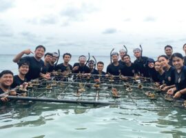 arm-ha-dan-bem-km-ipb-university-gelar-aksi-tanam-mangrove-dan-bersih-lingkungan-di-pulau-tidung