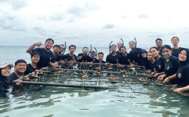 arm-ha-dan-bem-km-ipb-university-gelar-aksi-tanam-mangrove-dan-bersih-lingkungan-di-pulau-tidung