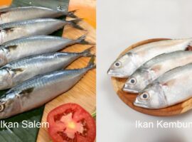 mengenal-lebih-dekat-ikan-salem-dan-kembung-fakta-menarik-dari-dosen-ipb-university