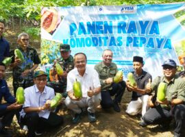 momen-hari-tani-nasional-ipb-university-ybm-brilian-dan-petani-gelar-panen-raya-pepaya-calina