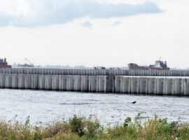 Pakar IPB University Ingatkan Risiko Ekologi dan Hilangnya Ruang Tangkap Proyek Beton Laut Cilincing