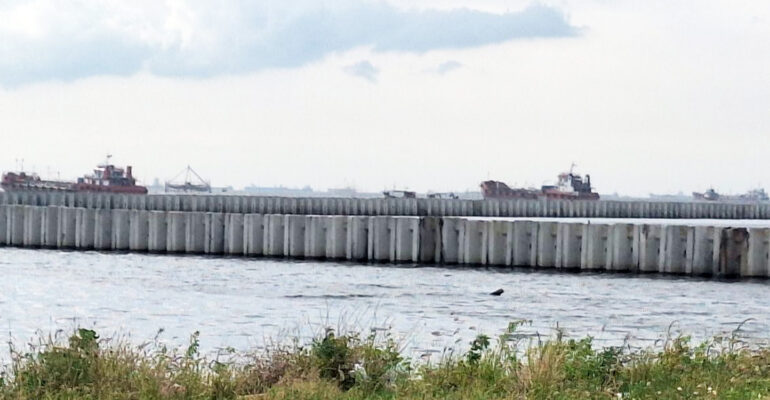 Pakar IPB University Ingatkan Risiko Ekologi dan Hilangnya Ruang Tangkap Proyek Beton Laut Cilincing