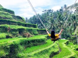 pakar-ipb-university-usung-retrospeksi-akademis-35-tahun-pembangunan-ekowisata-di-indonesia