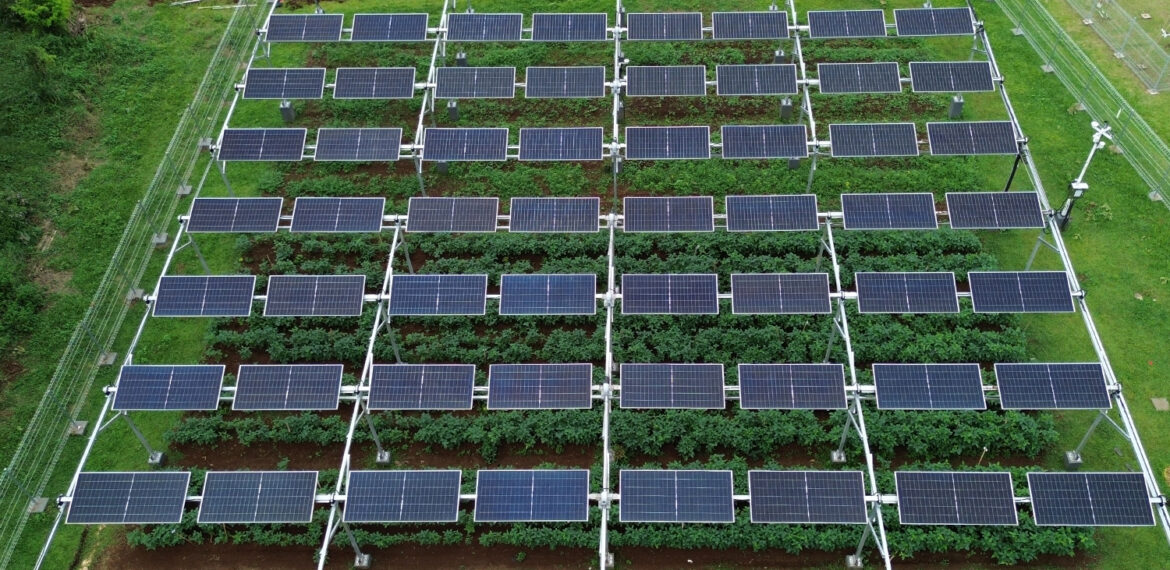 Agri-Photovoltaic