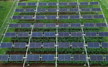Agri-Photovoltaic