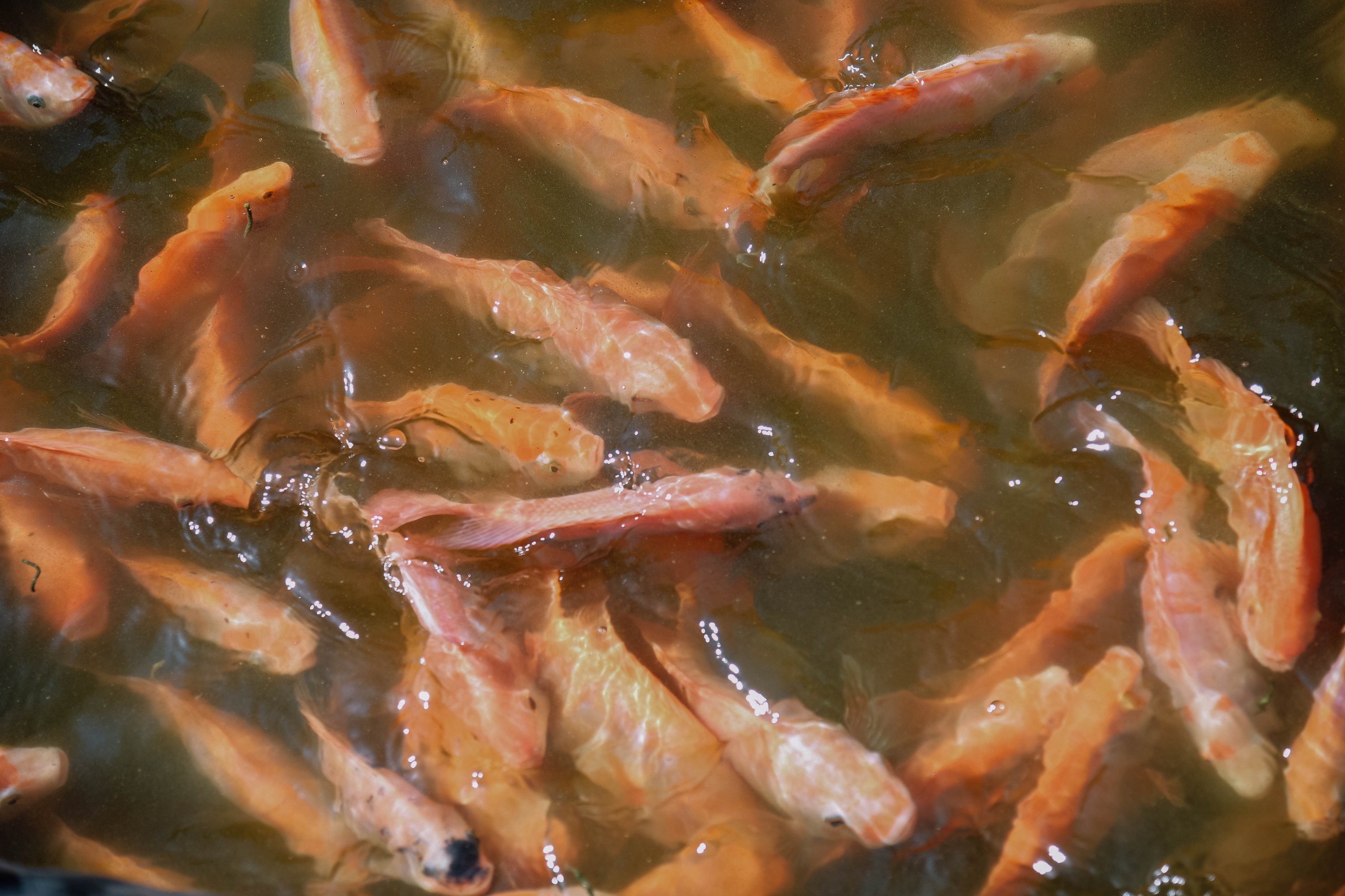 WhatsApp Image 2025-10-17 at 13.11.28