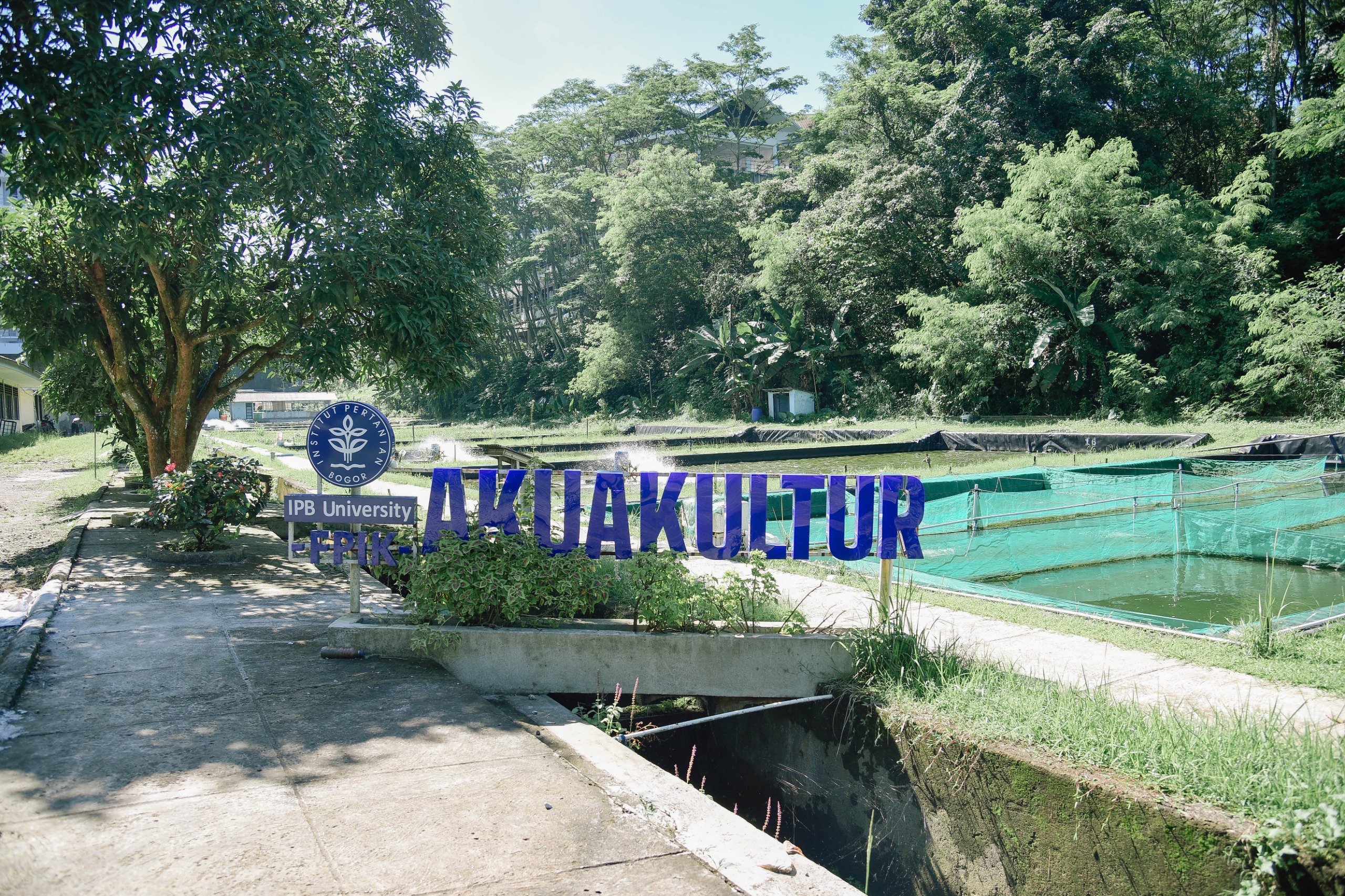 WhatsApp Image 2025-10-17 at 13.11.29 (1)