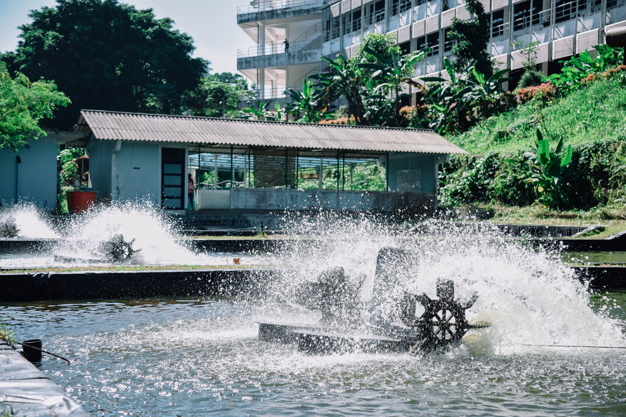 WhatsApp Image 2025-10-17 at 13.11.29 (2)