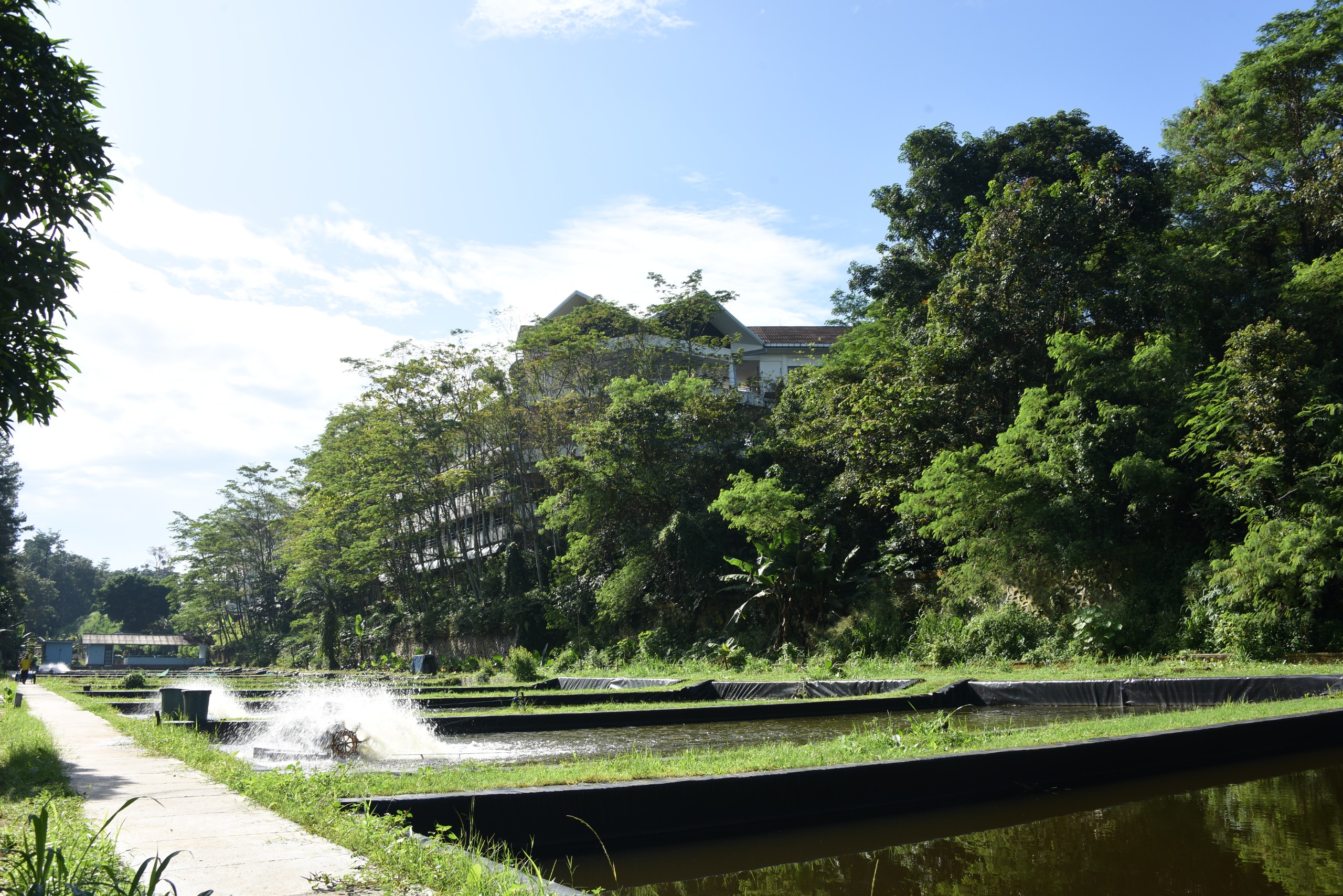 WhatsApp Image 2025-10-17 at 13.11.29