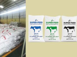 alumni-ipb-university-ciptakan-sjfeed-pakan-inovatif-dongkrak-bobot-sapi-hingga-1-3-kg-per-hari