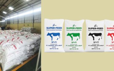 alumni-ipb-university-ciptakan-sjfeed-pakan-inovatif-dongkrak-bobot-sapi-hingga-1-3-kg-per-hari