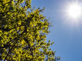 cuaca-kian-panas-dosen-meteorologi-ipb-university-ungkap-pemicunya