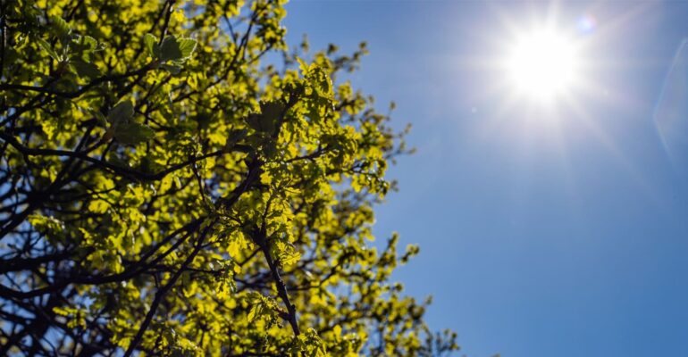 cuaca-kian-panas-dosen-meteorologi-ipb-university-ungkap-pemicunya