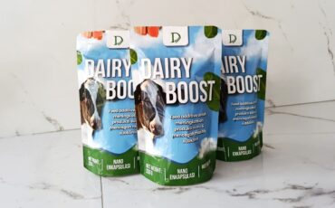 Dairy Boost: Inovasi Tim PKM IPB University, Efektif Tingkatkan Produksi Susu Hingga 30 Persen