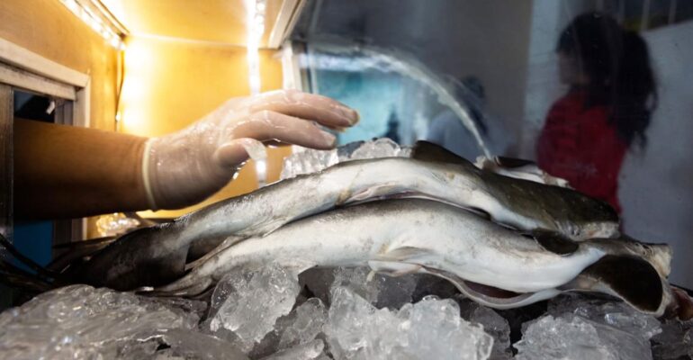 kasus-keracunan-di-ketapang-akademisi-ipb-university-ingatkan-dampak-serius-konsumsi-ikan-hiu-pada-anak