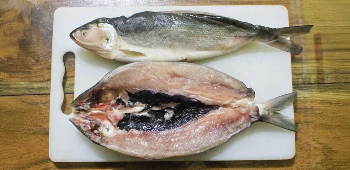 Kenapa Tulang Ikan Bandeng Mudah Ditarik? Pakar IPB University Ungkap  Alasannya