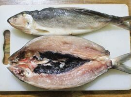 Kenapa Tulang Ikan Bandeng Mudah Ditarik? Pakar IPB University Ungkap  Alasannya