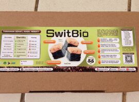 mahasiswa-ipb-university-ciptakan-switbio-media-semai-all-in-one-dengan-rh-indicator-alami-dari-kunyit