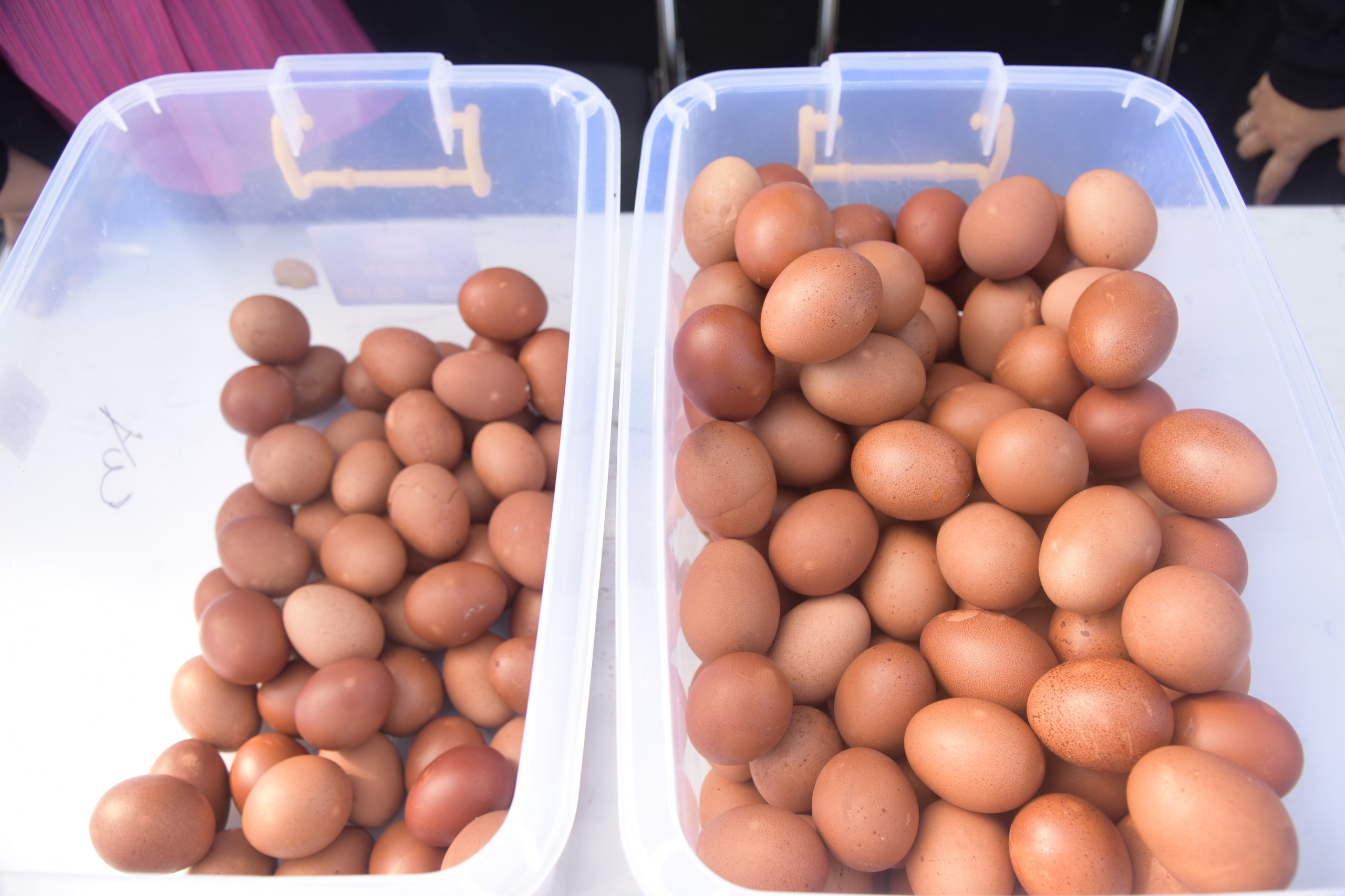 WhatsApp Image 2025-11-24 at 08.47.49 (3)