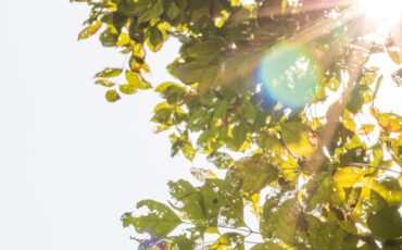 ahli-ipb-university-kurang-terpapar-sinar-matahari-bisa-gandakan-risiko-kematian