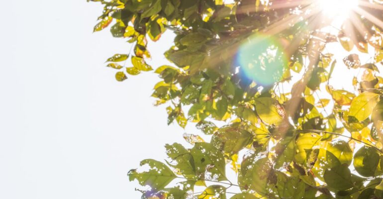 ahli-ipb-university-kurang-terpapar-sinar-matahari-bisa-gandakan-risiko-kematian