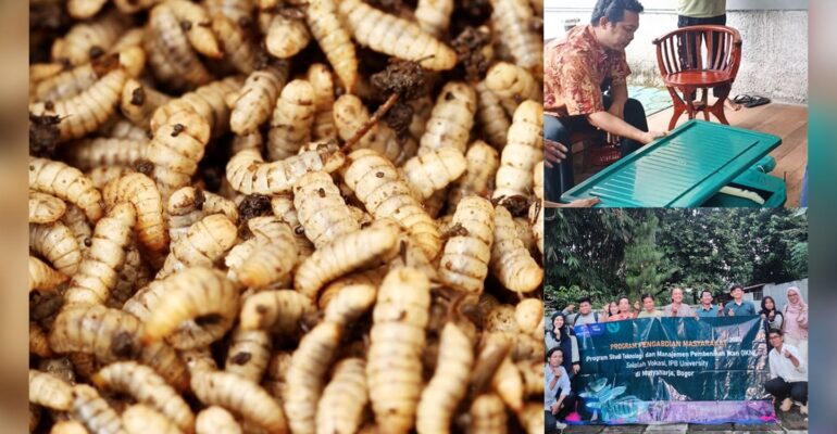 dosen-sv-ipb-university-latih-anggota-pokdakan-garuda-teknik-budi-daya-maggot
