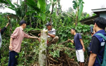 dukung-desa-ekowisata-berkelanjutan-di-gambuhan-pelamang-dpma-ipb-university-dampingi-petani-alpukat