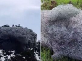 gelembung-busa-berbau-heboh-di-medsos-guru-besar-ipb-indikasi-pencemaran-limbah-bahan-berbahaya-dan-beracun