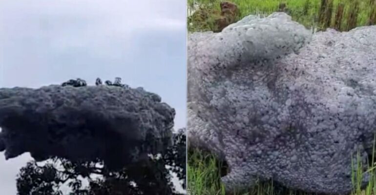 gelembung-busa-berbau-heboh-di-medsos-guru-besar-ipb-indikasi-pencemaran-limbah-bahan-berbahaya-dan-beracun