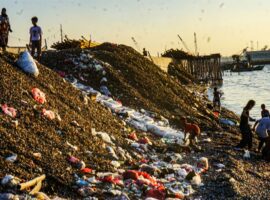 guru-besar-ipb-university-timbunan-limbah-kerang-hijau-ancam-ekosistem-pesisir-cilincing