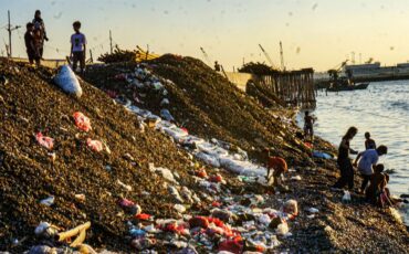 guru-besar-ipb-university-timbunan-limbah-kerang-hijau-ancam-ekosistem-pesisir-cilincing