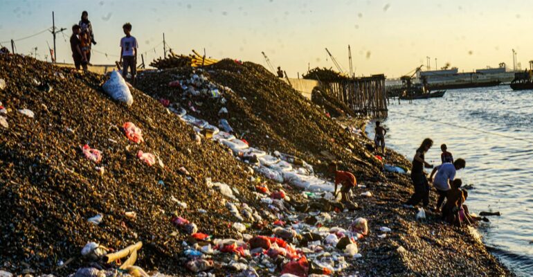 guru-besar-ipb-university-timbunan-limbah-kerang-hijau-ancam-ekosistem-pesisir-cilincing